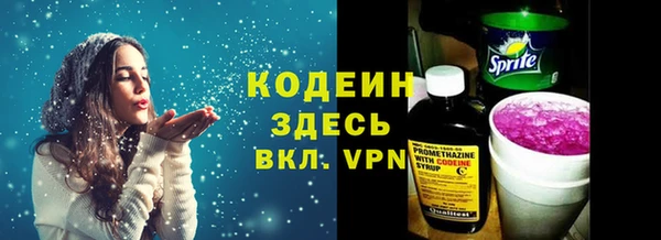 ешки Гусев