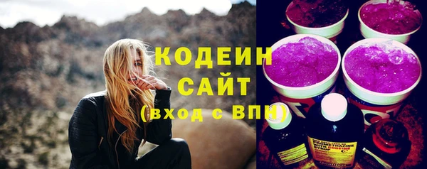 ешки Гусев